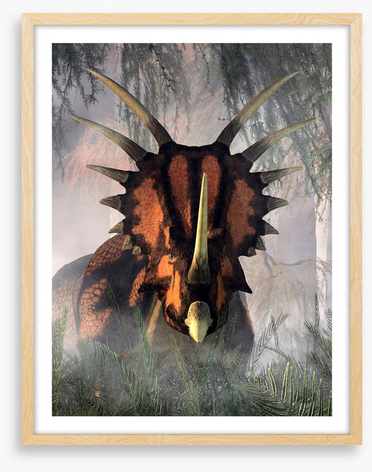 Styracosaurus surprise