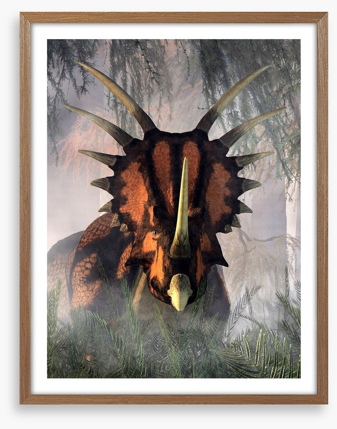 Styracosaurus surprise