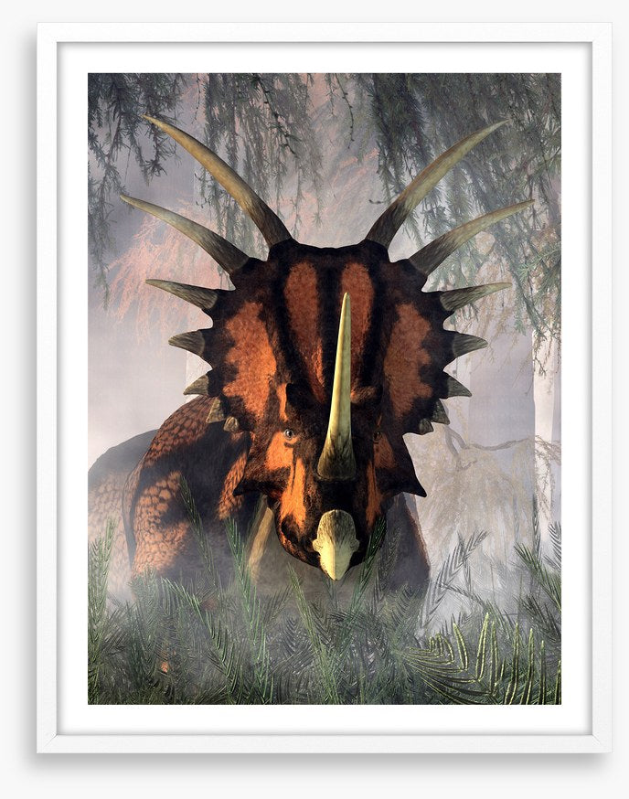 Styracosaurus surprise