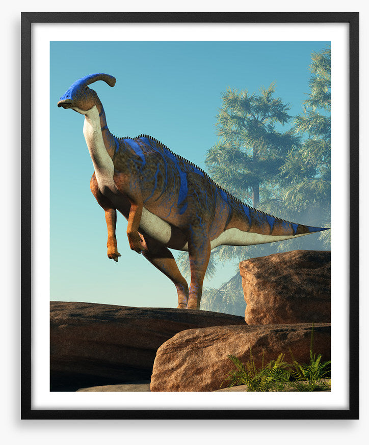 Dinosaurs
