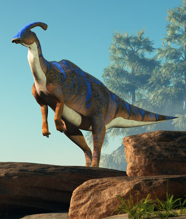 Dinosaurs