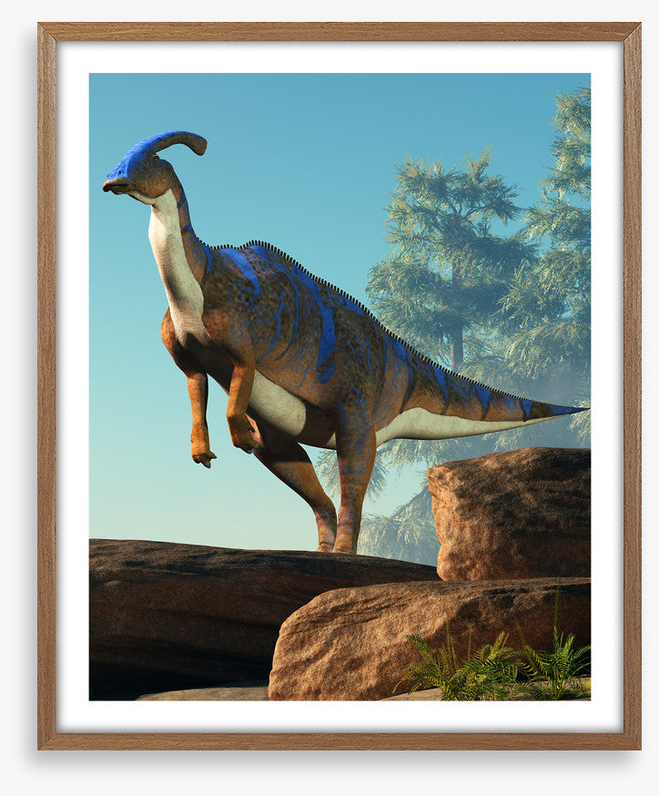 Dinosaurs