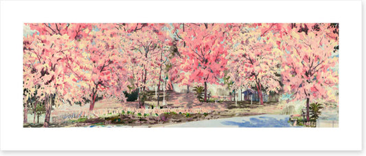 Pink blossom lane