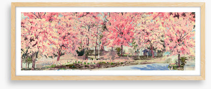 Pink blossom lane