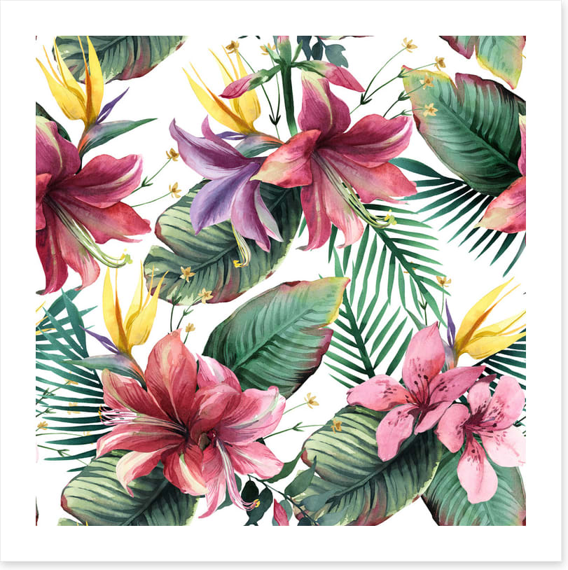 Aloha blooms