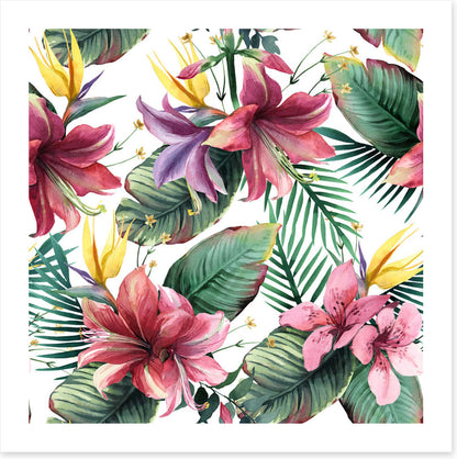 Aloha blooms