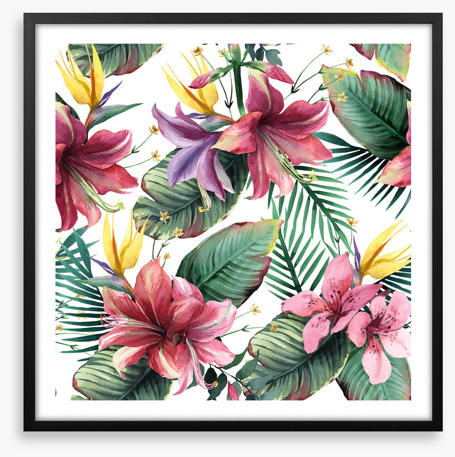 Aloha blooms