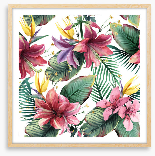Aloha blooms