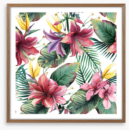 Aloha blooms