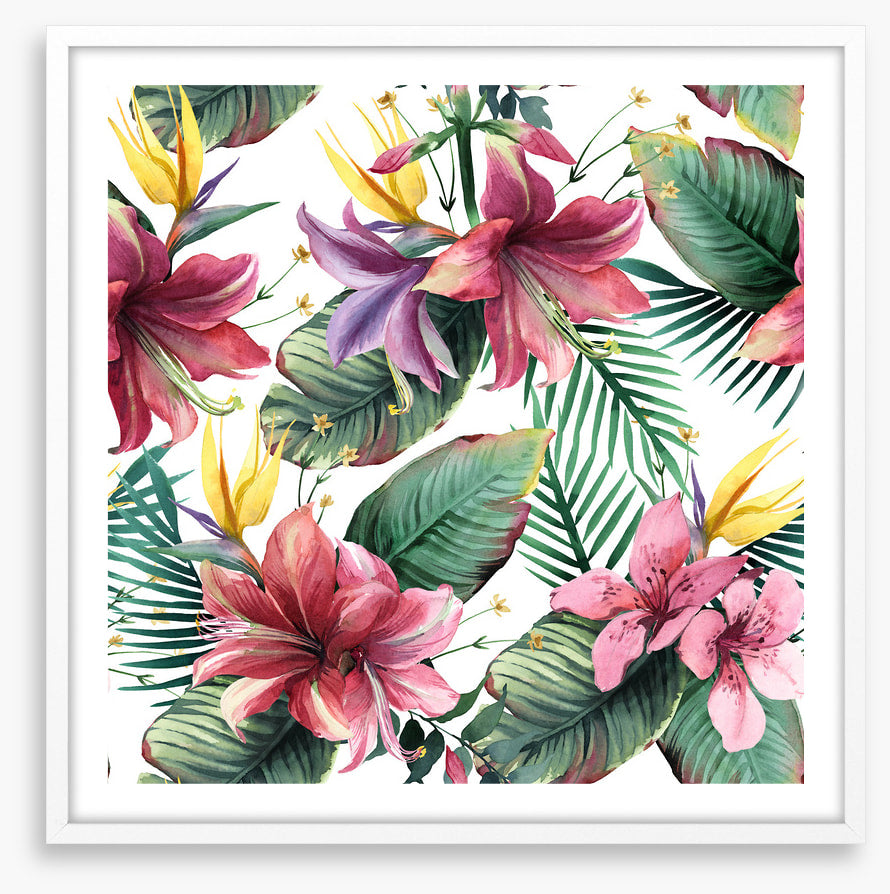 Aloha blooms