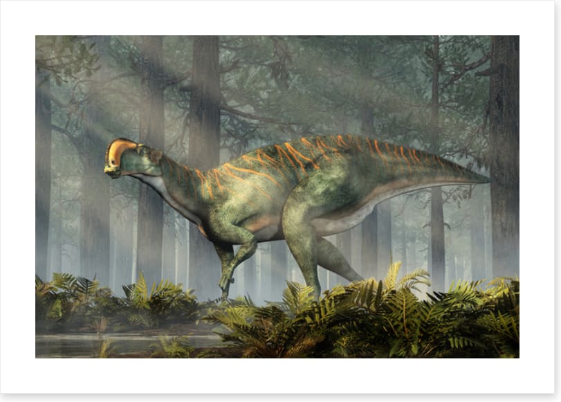 Dinosaurs