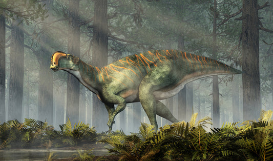 Dinosaurs