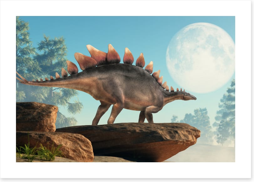 Stegosaurus lookout