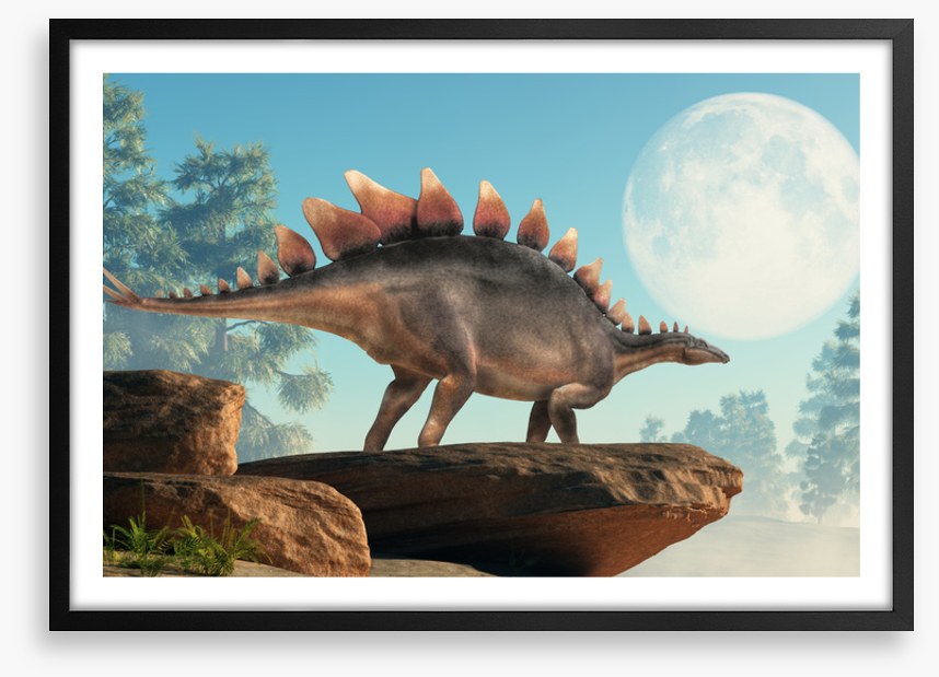 Stegosaurus lookout
