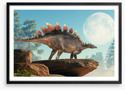 Stegosaurus lookout