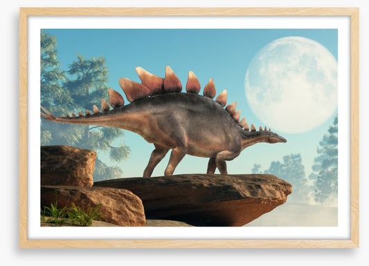 Stegosaurus lookout
