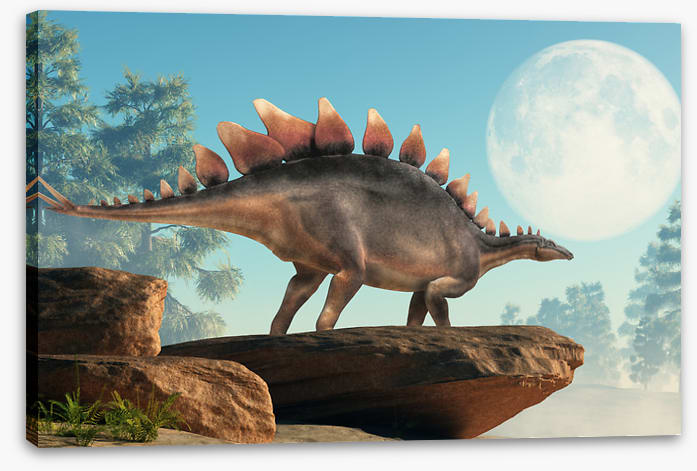 Stegosaurus lookout