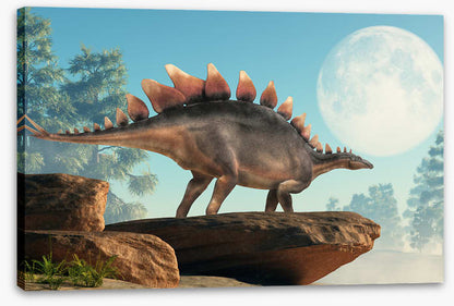 Stegosaurus lookout