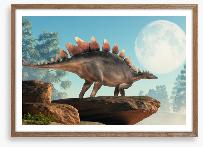 Stegosaurus lookout
