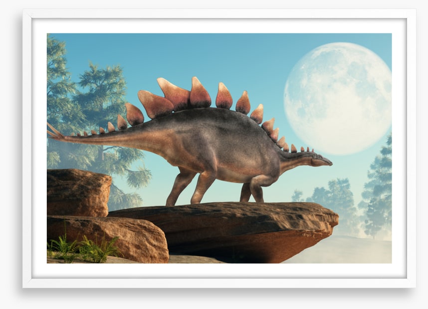 Stegosaurus lookout