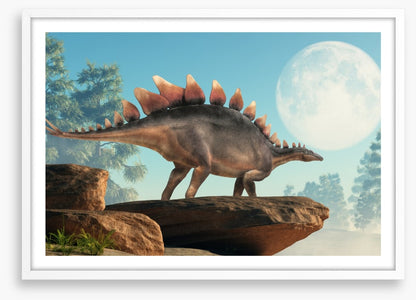 Stegosaurus lookout