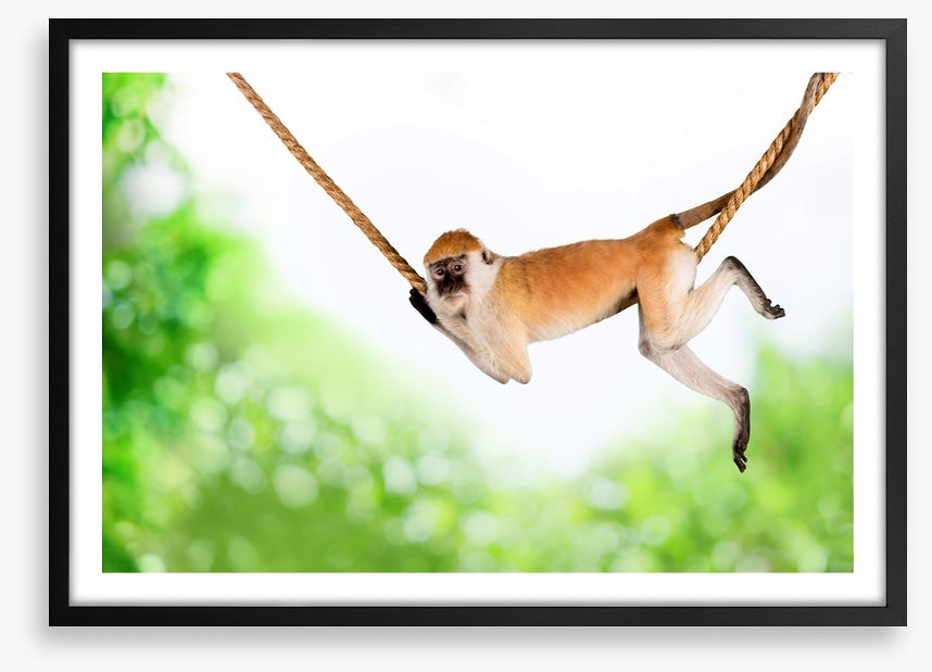 Monkey swing