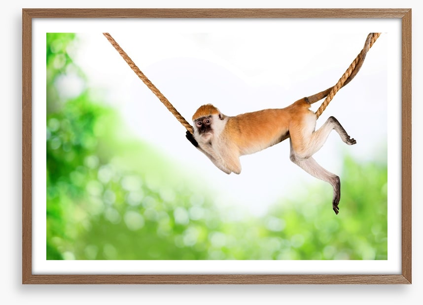 Monkey swing