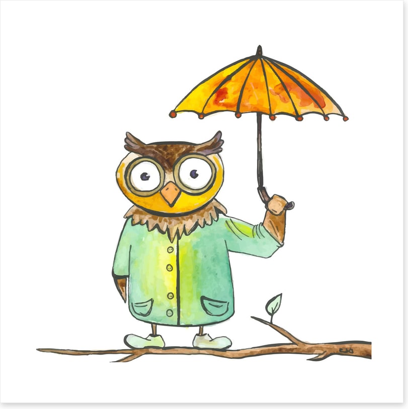 Owls