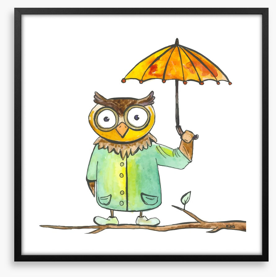Owls