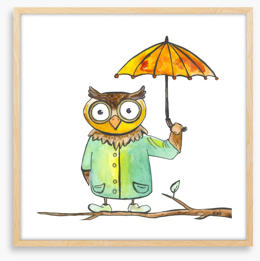 Owls