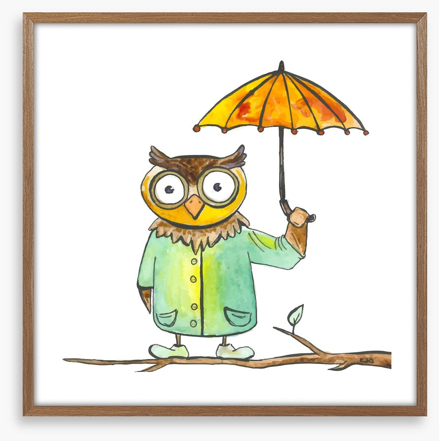 Owls