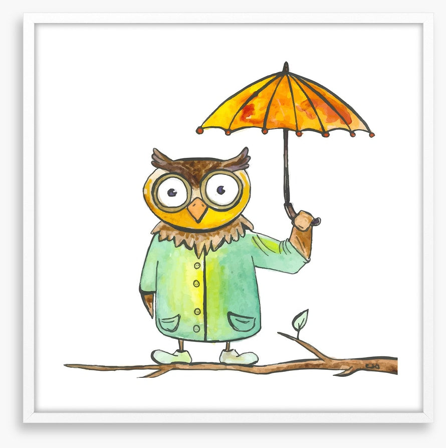 Owls