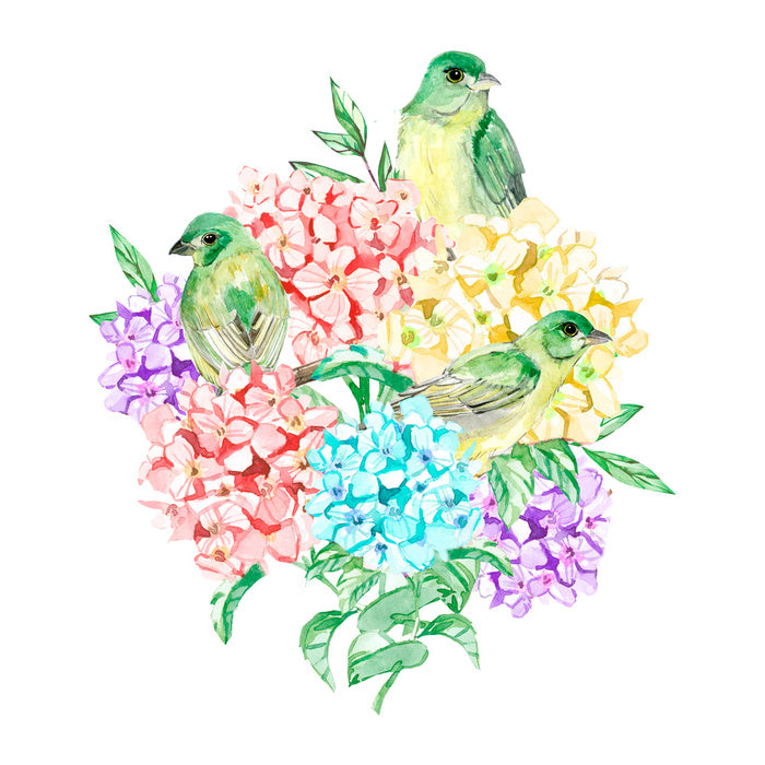 Birds