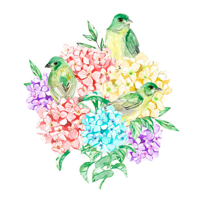 Birds