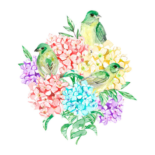 Birds