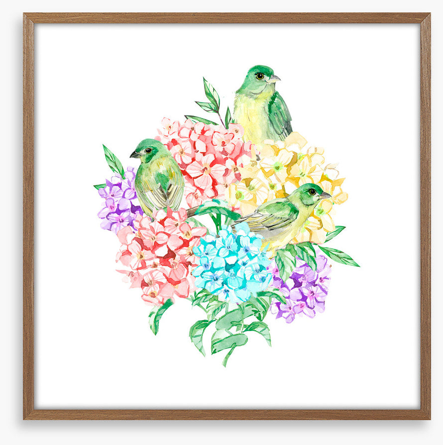 Birds