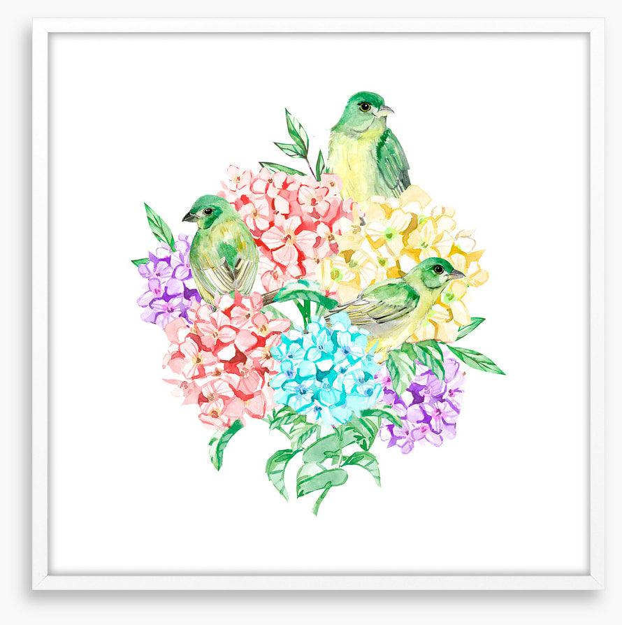Birds