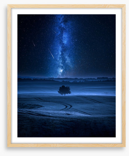 Meteors in the meadow