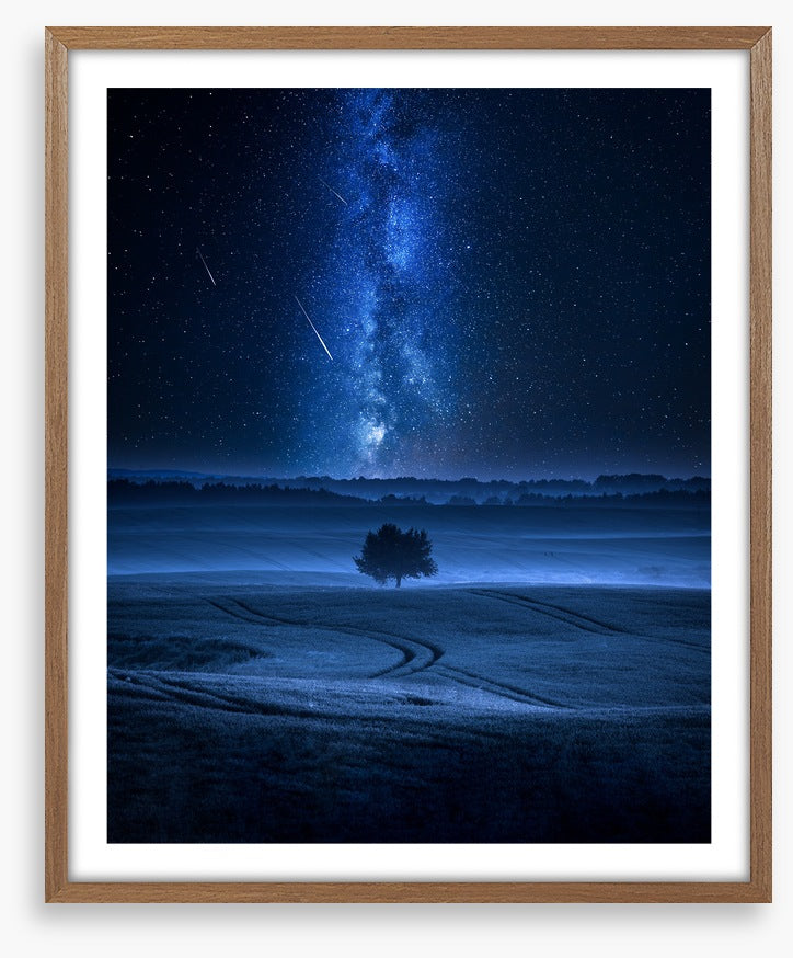 Meteors in the meadow