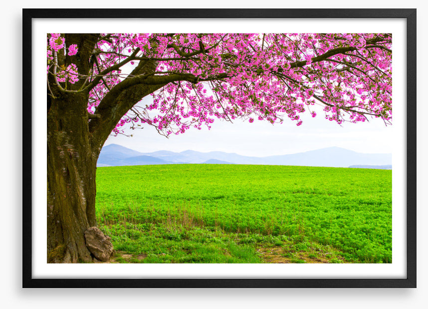 Below the blossom