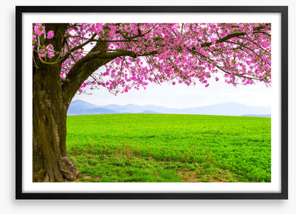 Below the blossom