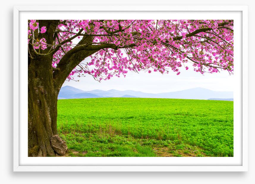 Below the blossom