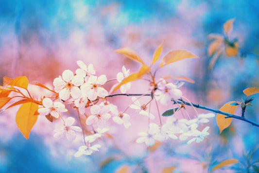 Branching out