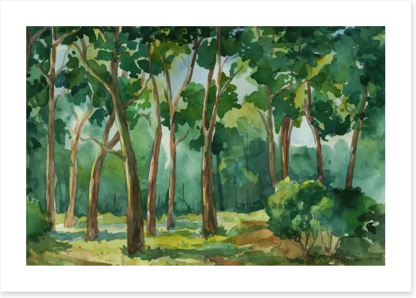 Forest of green