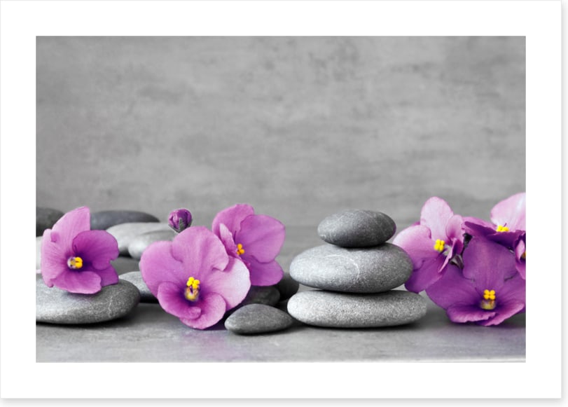 Blooms and balance