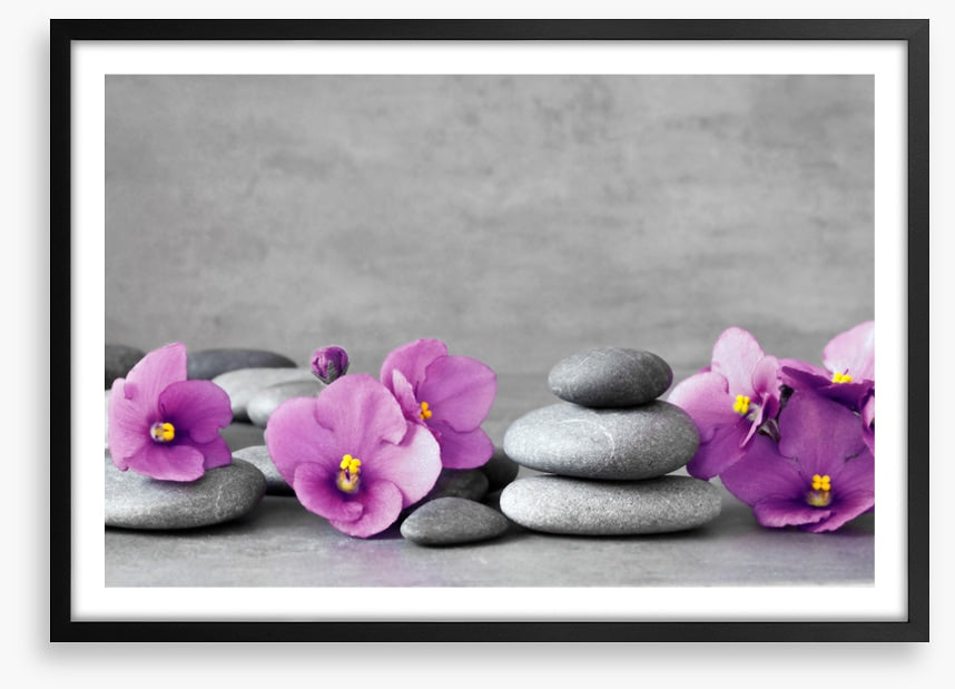 Blooms and balance