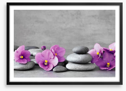Blooms and balance