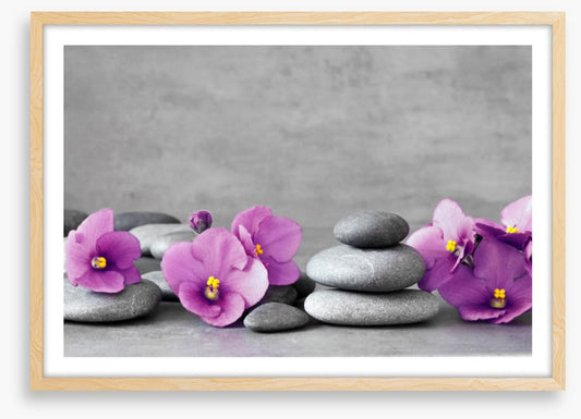 Blooms and balance