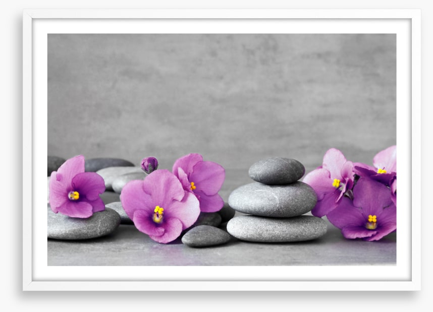 Blooms and balance