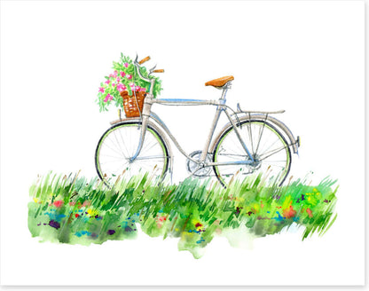 Transport